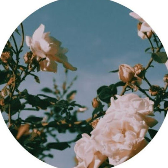 Meet your Posher, Sarah - Picture 1 of 1